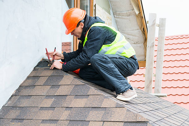 Best Roof Gutter Cleaning  in Waynesboro, GA