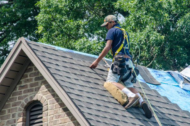 Professional Roofing Contractor in Waynesboro, GA